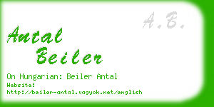 antal beiler business card